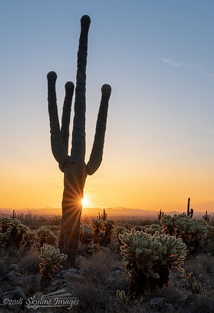 White Tanks Regional Park, AZ