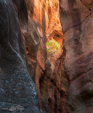Kanarra Canyon, Utah