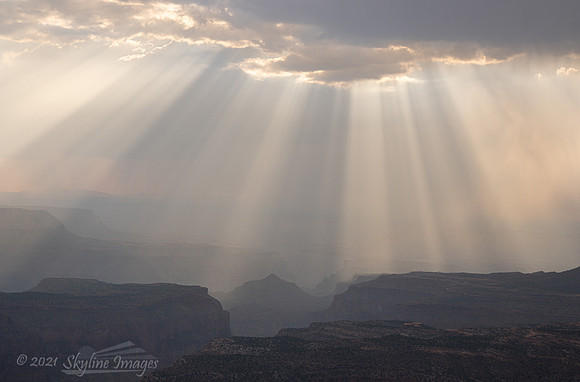 North Kaibab National Forest Arizona