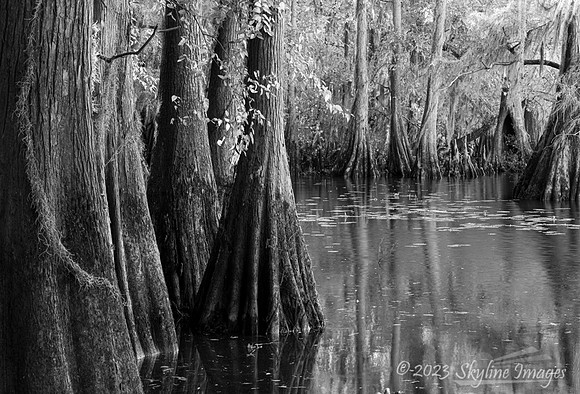 East Texas