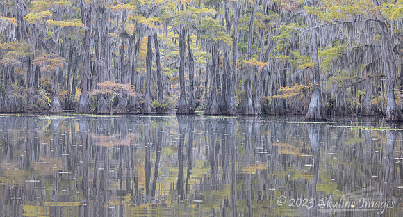 East Texas
