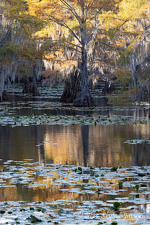 East Texas