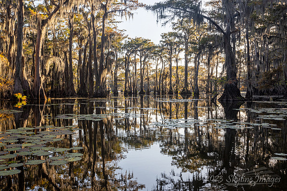 East Texas