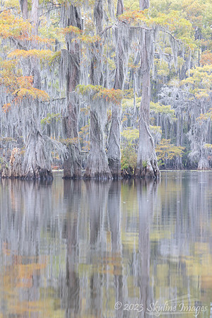 East Texas