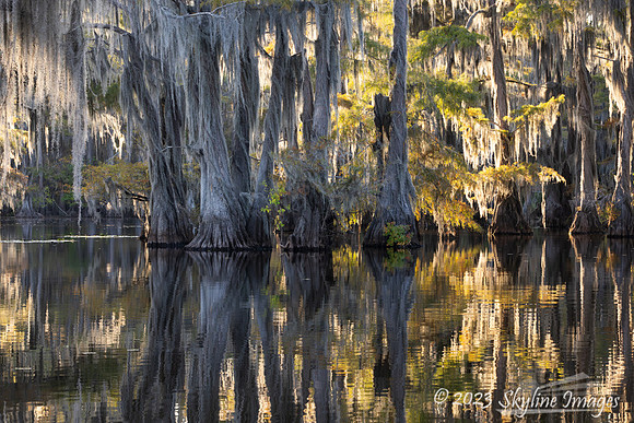 East Texas