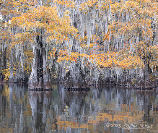 East Texas