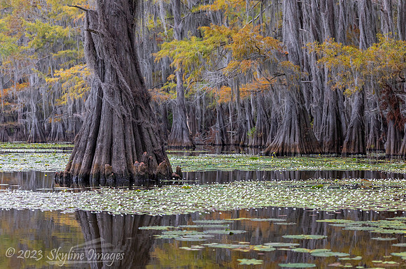 East Texas