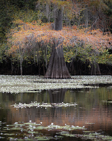 East Texas
