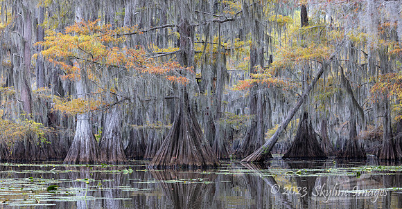 East Texas