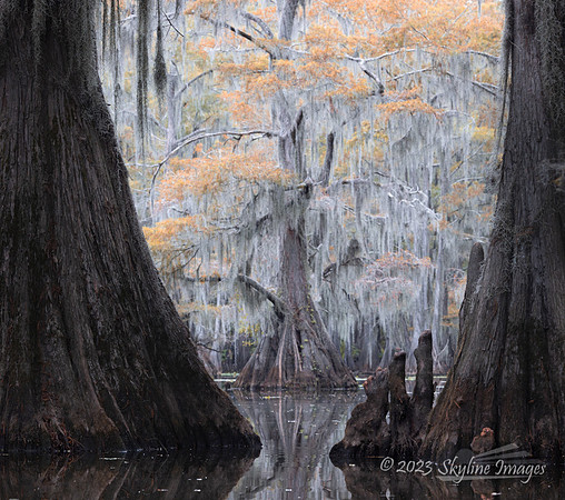 East Texas