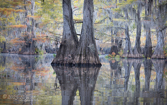 East Texas