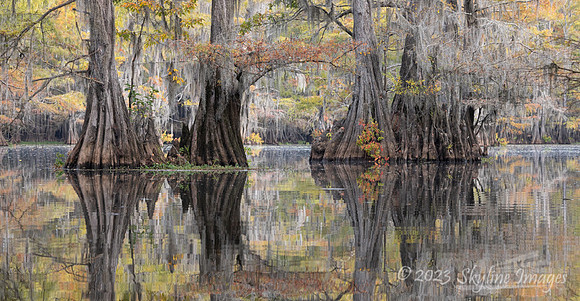 East Texas