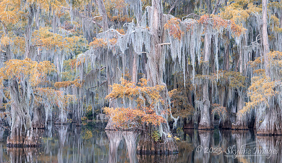 East Texas
