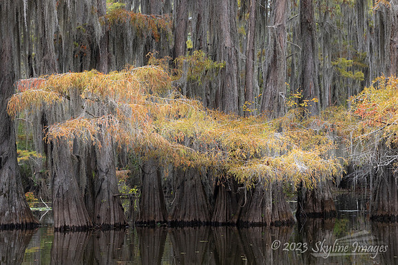 East Texas