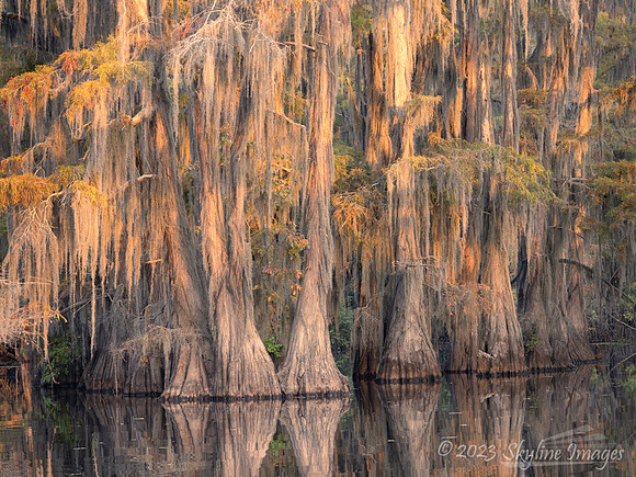 East Texas