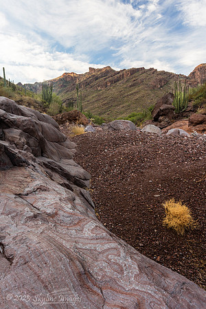 Organ Pipe Cactus National Monument
