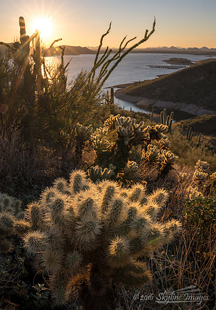 Lake Pleasant Regional Park, Near Peoria Arizona