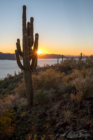 Lake Pleasant Regional Park, Near Peoria Arizona