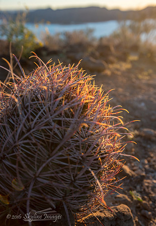 Lake Pleasant Regional Park, Near Peoria Arizona