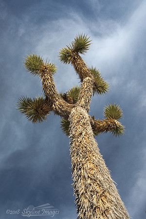 Death Valley National Park CA