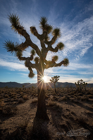 Death Valley National Park CA