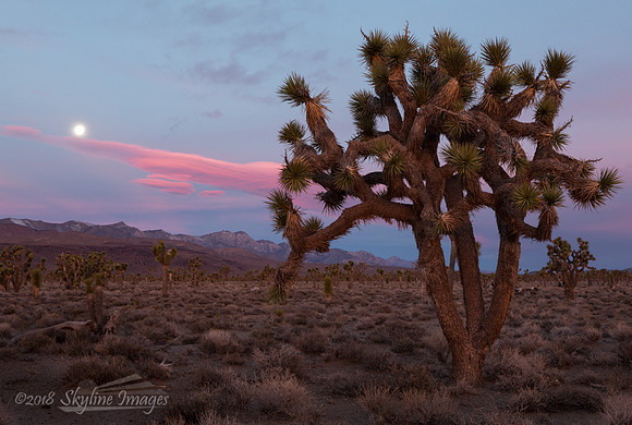 Death Valley National Park CA