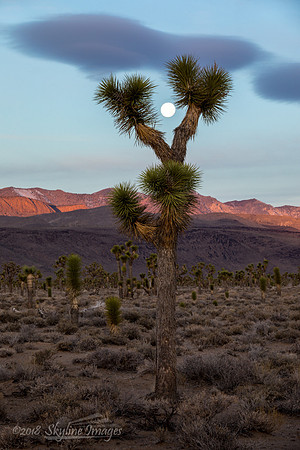 Death Valley National Park CA
