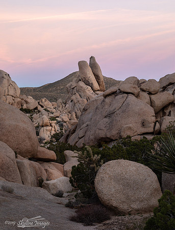 Mojave Desert, California
