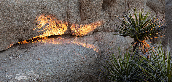 Mojave Desert, California