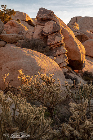 Mojave Desert, California
