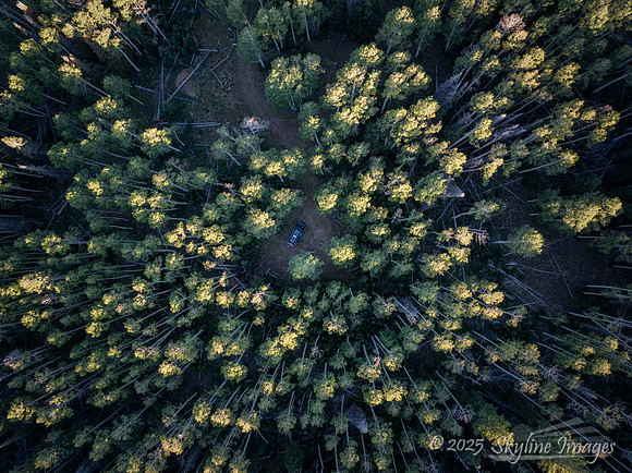 Fishlake National Forest, Utah