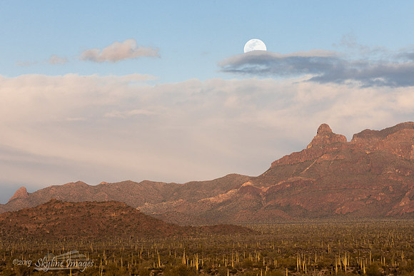 Organ Pipe Cactus National Monument Arizona