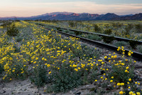 Mojave Desert, California