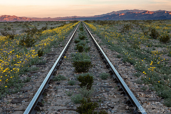 Mojave Desert, California