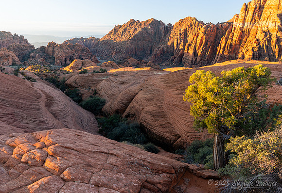 Snow Canyon Utah