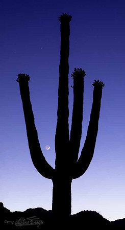 White Tanks Regional Park Arizona