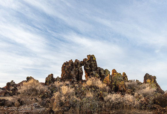 Mojave National Preserve California