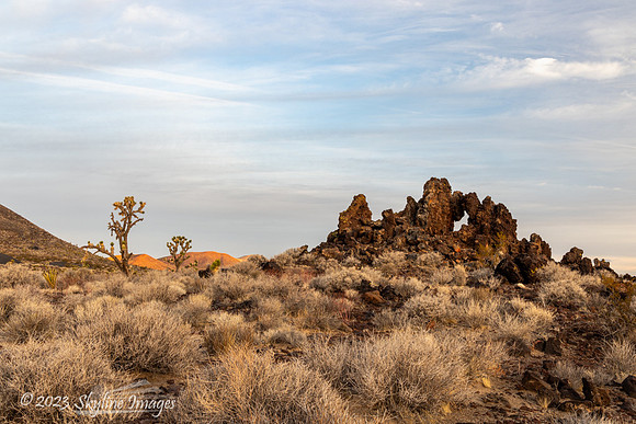 Mojave National Preserve California