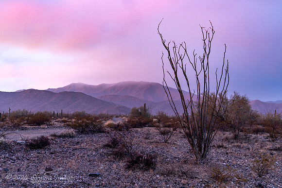 Harquahala Mountains Arizona