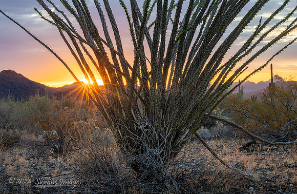 Harquahala Mountains Arizona