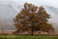 Great Smoky Mountains National Park