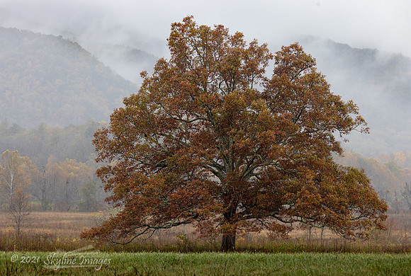 Great Smoky Mountains National Park