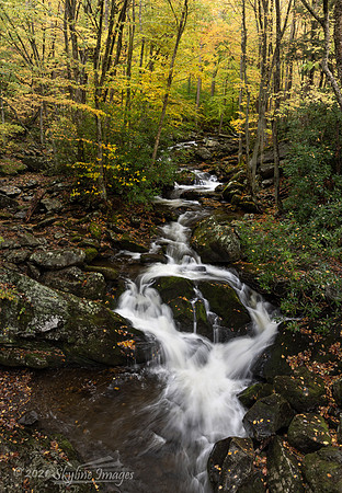 Great Smoky Mountains National Park