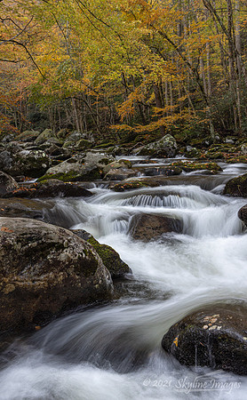 Great Smoky Mountains National Park