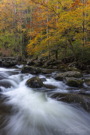 Great Smoky Mountains National Park