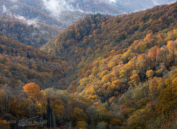 Great Smoky Mountains National Park