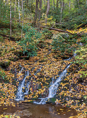 Great Smoky Mountains National Park
