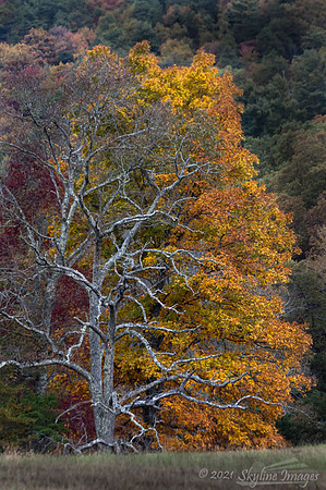 Great Smoky Mountains National Park
