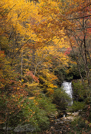 Great Smoky Mountains National Park