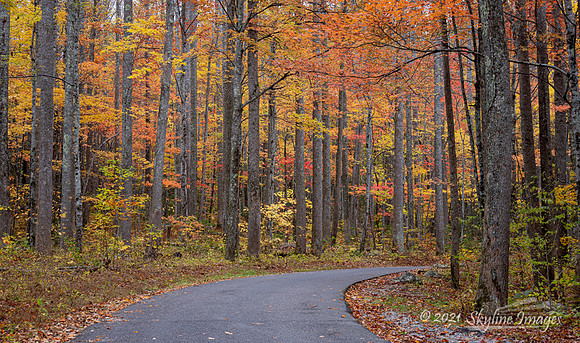Great Smoky Mountains National Park